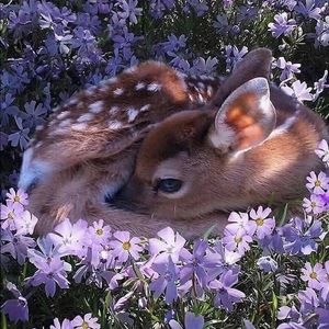 Meet your Posher, Tammie